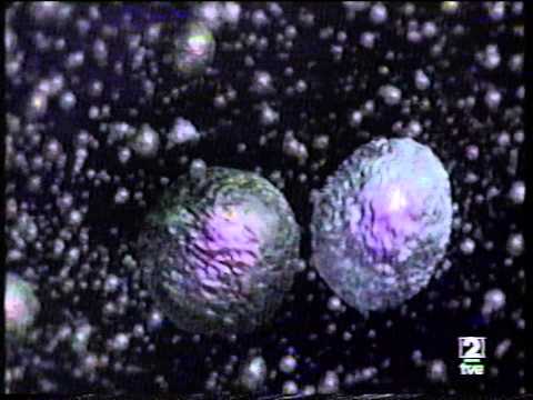 Historia del cuerpo - La guerra fría